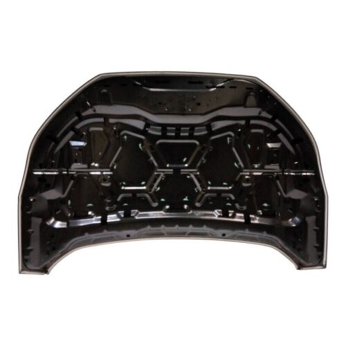 Fit 2019-2023 Ford Edge Hood Aluminum